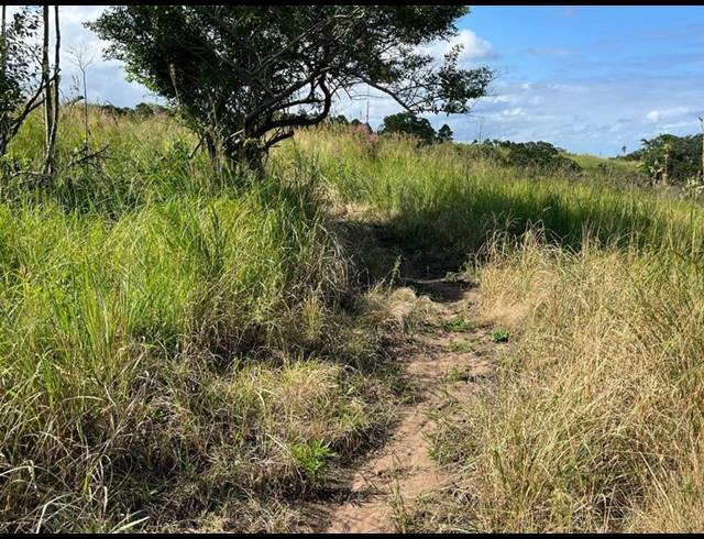 FARM FOR SALE IN BANNERS REST